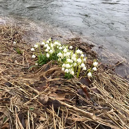 Apartman Zum Notar Brand-Erbisdorf